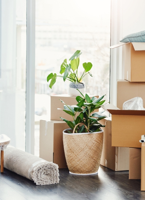 Over Verhuisschoonmaak